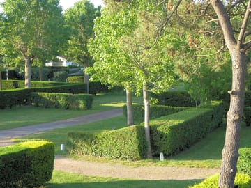 Separated by hedges