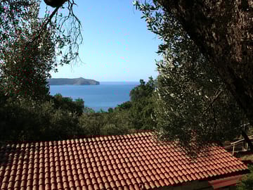 Views from the site