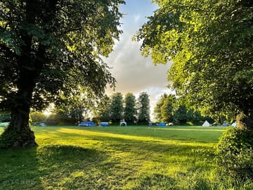 Harry's meadow pitch