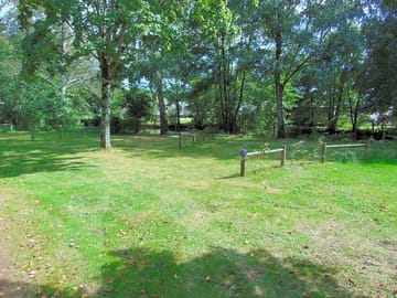Large shady picthes