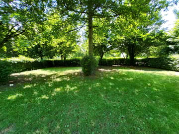 Grass pitches