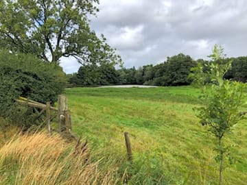 Peaceful simple pitches