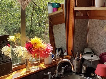 Washing-up sink in the wash house