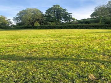 Grassy pitches