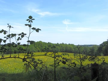 Plenty of rural walking trails