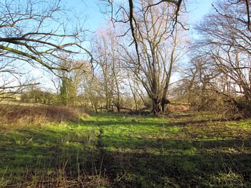 Wild pitches in the suffolk countryside