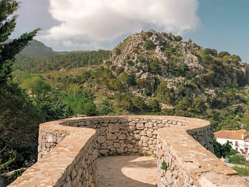 Site views