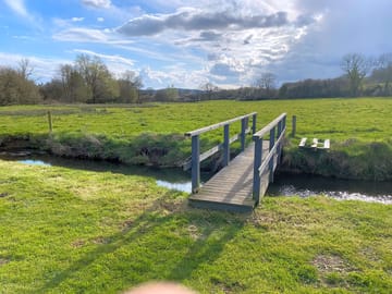 Space for dogs to run and play