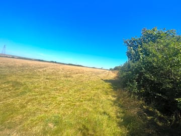 View of the site