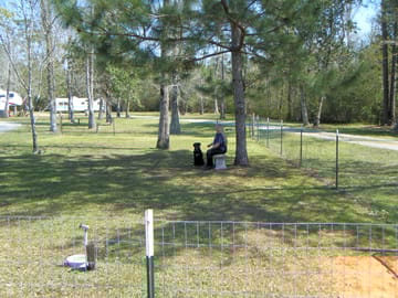 Shaded dog park