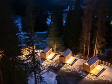 Forest cabin