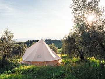 Safari tent