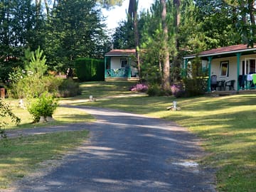 The site