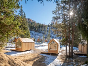 Forest cabin