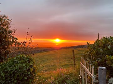 Sunset over the site
