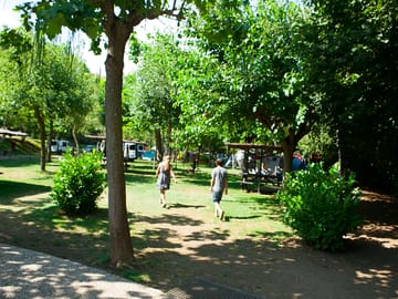 Around the campsite