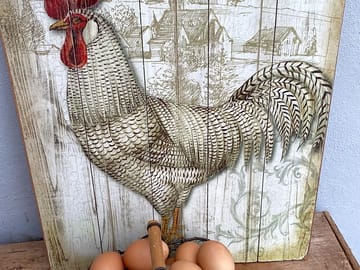 Fresh eggs available on site