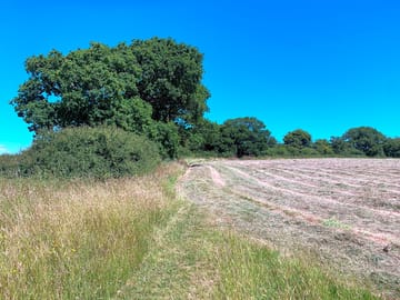 View from the car park