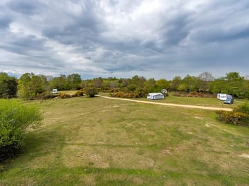 Forest view and grass pitches