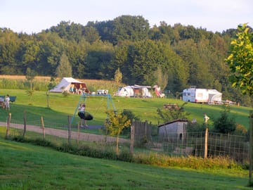Some pitches are located near the play area