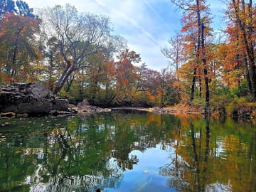 The river