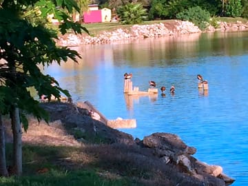 Waterfront where you can go bird-watching