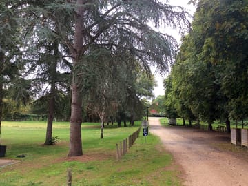 Road through the pitches
