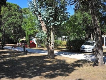 Spacious, partial shade pitches