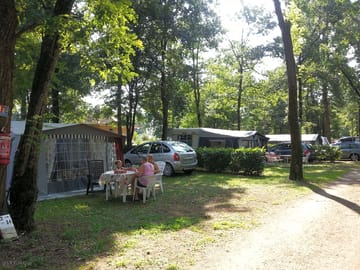 Trees provide shade