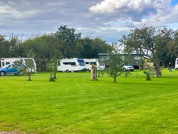 Camping field