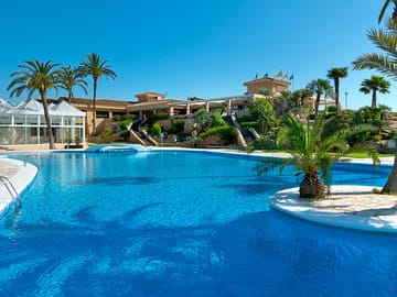 Palm trees and turquoise water