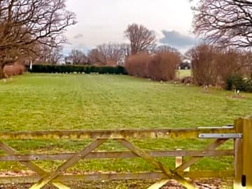 The fields