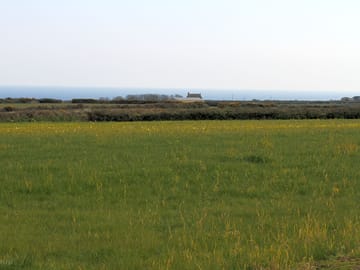 Looking towards rinsey cove