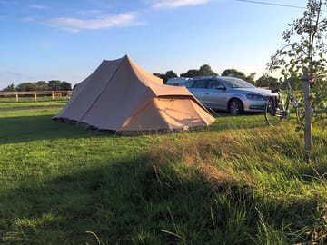 Camping field