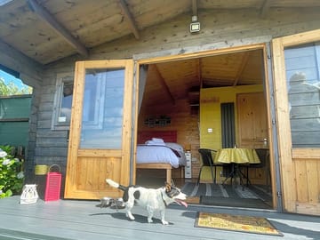 Dog-friendly cabins