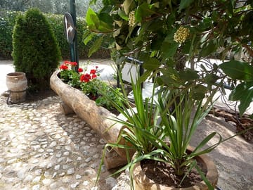 Around the site