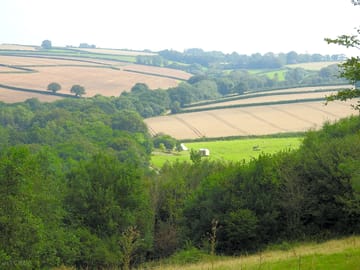 View of the pitches from the top of the farm