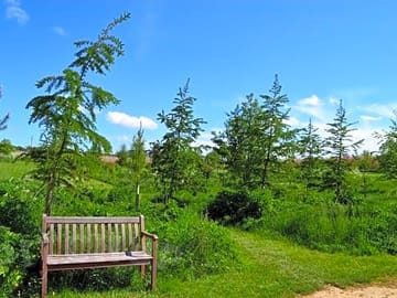 Peaceful spots to rest around the site.