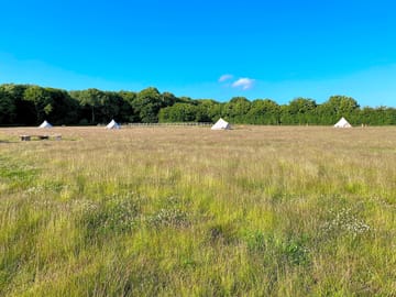 The site before the wildflower meadow grows