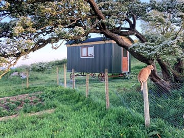 Caban fawr exterior