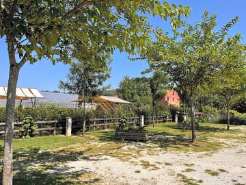 piazzola