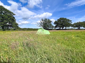 Grass pitches