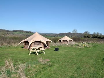 New for 2025 ready-pitched rental tent with four or five beds, electric socket with USB points