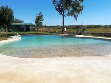 Lagoon pool