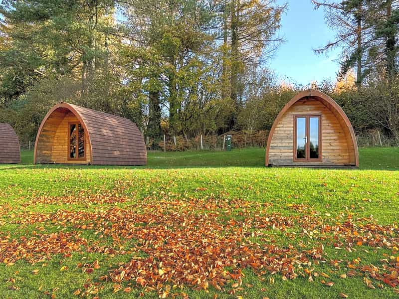 Bracelands Campsite - The most peaceful campsite