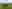 Rutland Water campsites