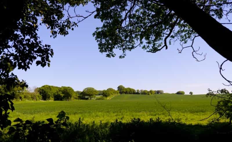 Pastoral surrounds near Benfleet (Ricky Rew on Unsplash)