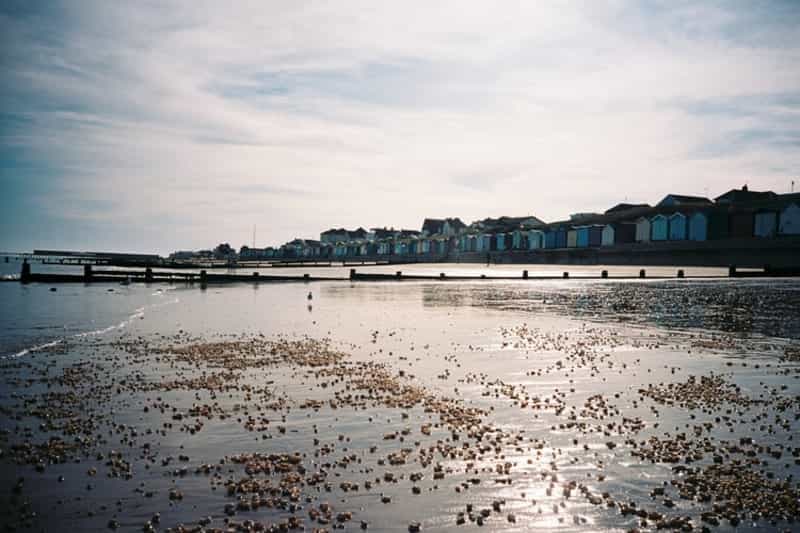 Walton-on-the-Naze at low tide (Nick Page on Unsplash)
