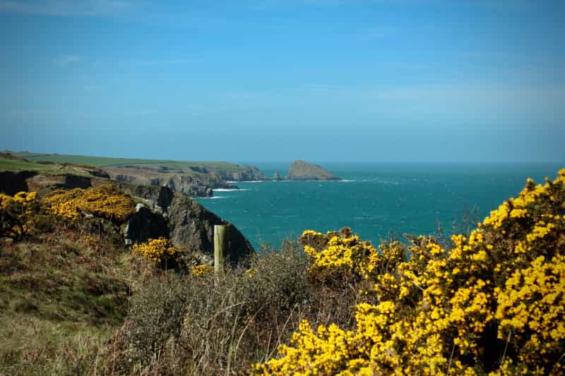 There are some incredible sea views from the rugged cliff tops in Pembrokeshire (Tobias Keller on Unsplash)