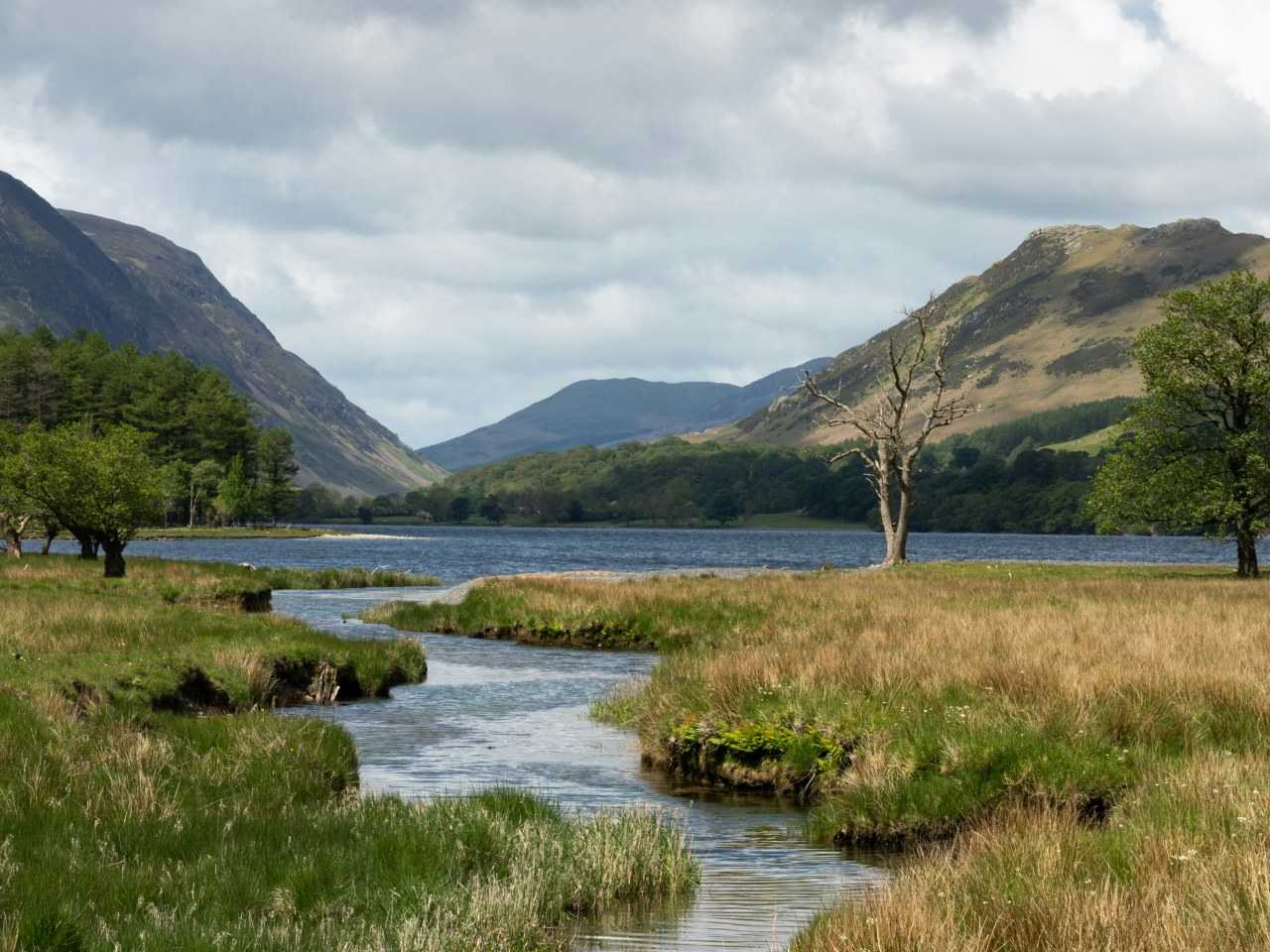 View near Buttermere; a lake with trees in the foreground